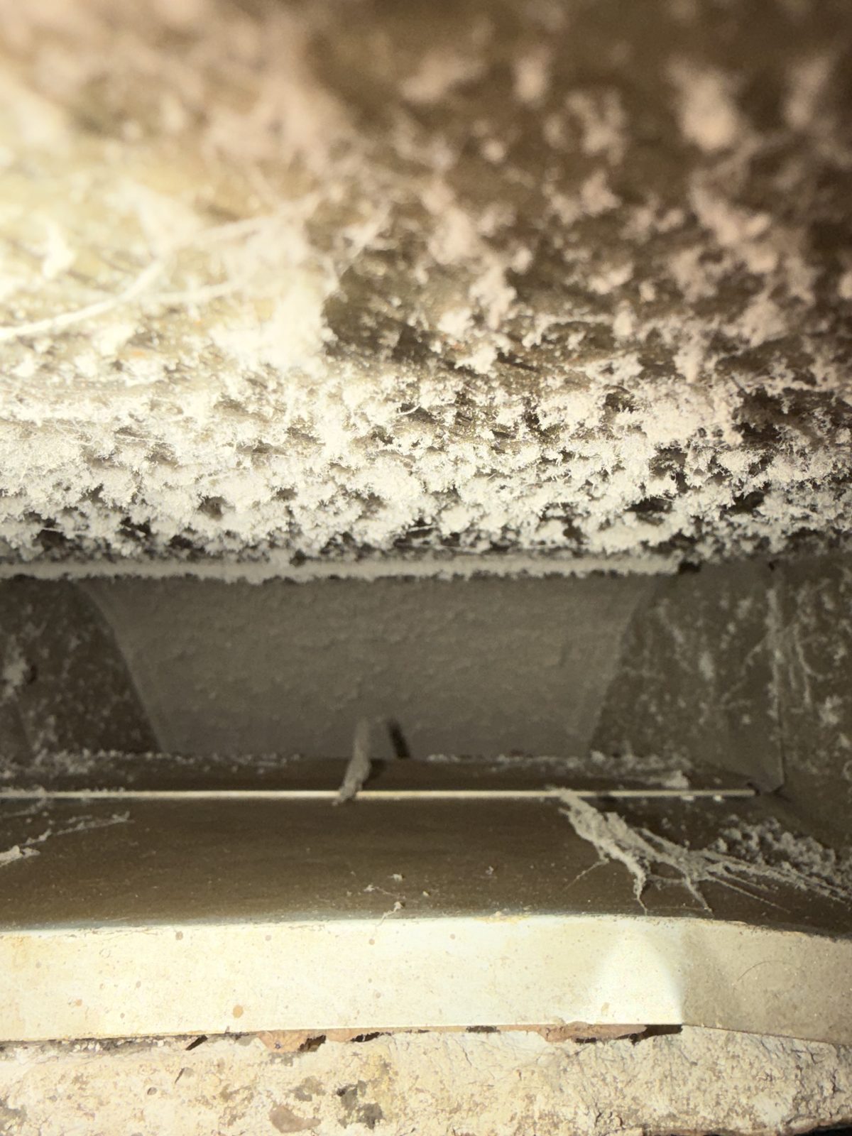 Dust hanging in thick drifts inside a sheet metal duct box, before cleaning