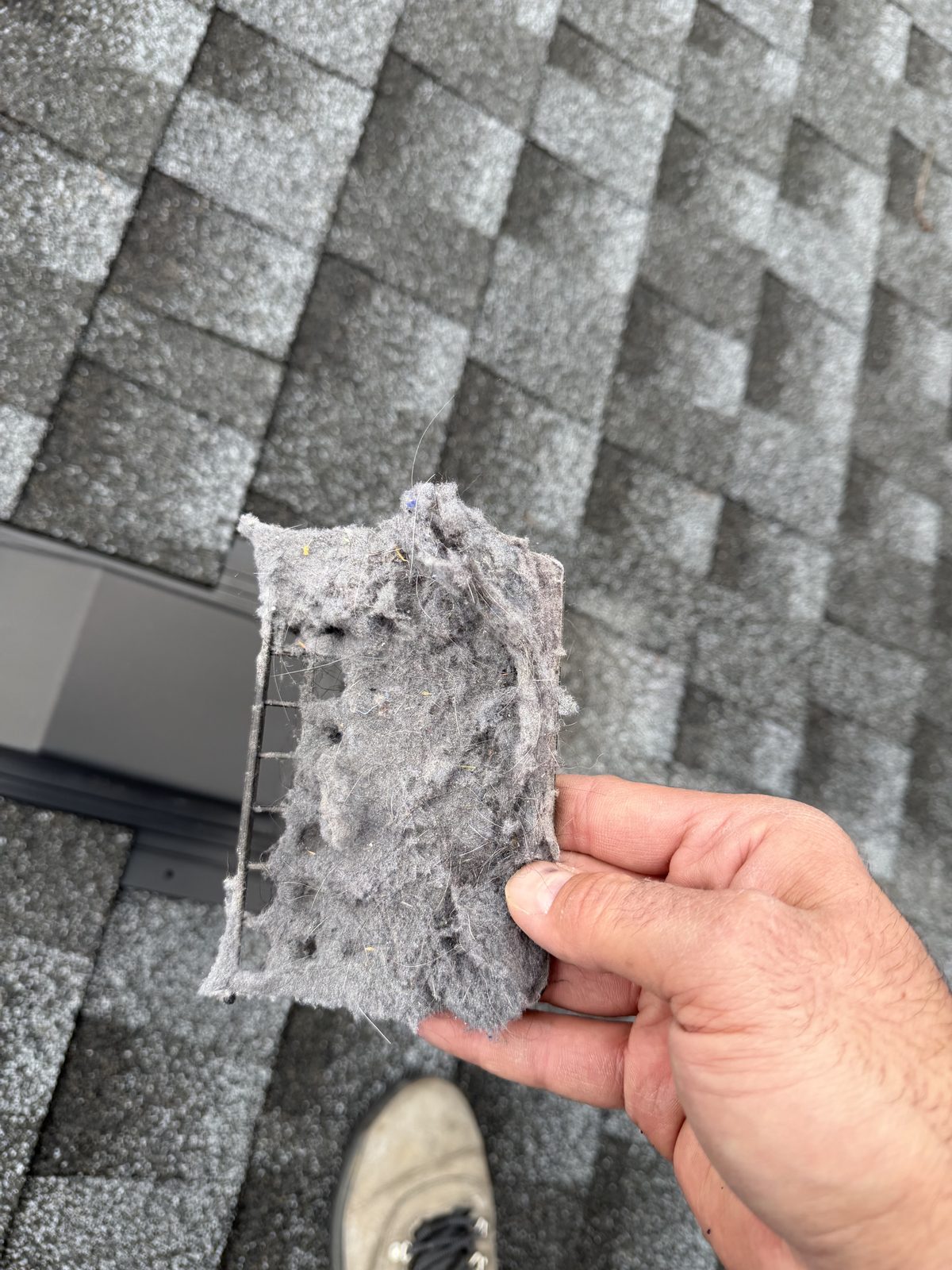 A mat of lint pulled from a roof vent, held up over the shingles