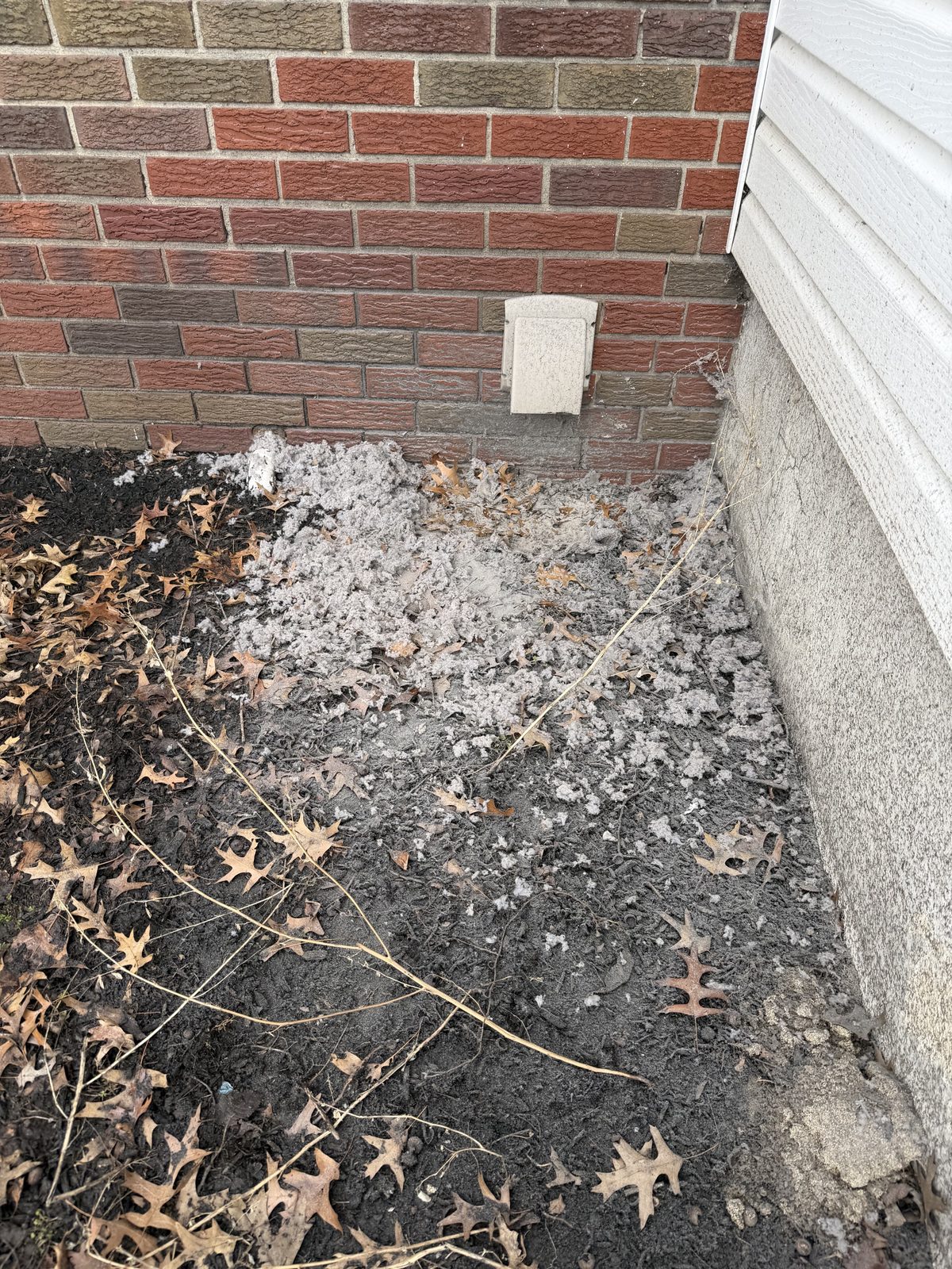 A wall vent above ground littered with lint and leaves